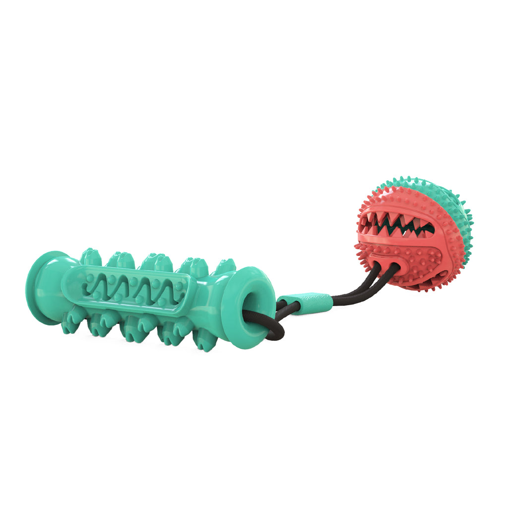 Heavy Duty Interactive Dog Training Ball - Bungee Resistance Toy